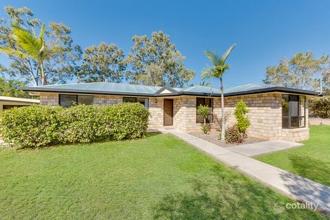 Property photo of 31 Dedekind Avenue Benaraby QLD 4680
