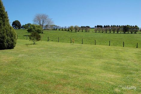 Property photo of 5 Tamarind Avenue Dorrigo NSW 2453