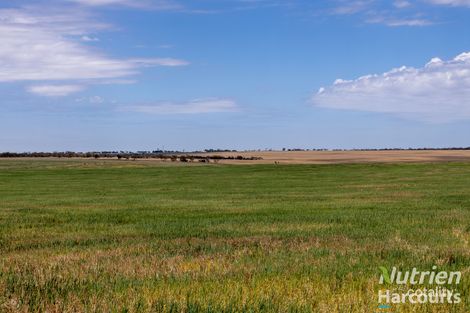 250 Treloar Rd, Minlaton, SA 5575