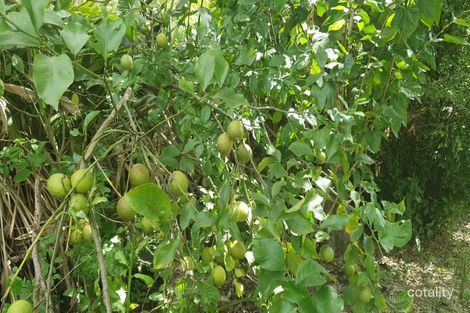 26 German Rd, Sarina, QLD 4737