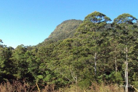 1/929 Blue Knob Rd, Blue Knob, NSW 2480