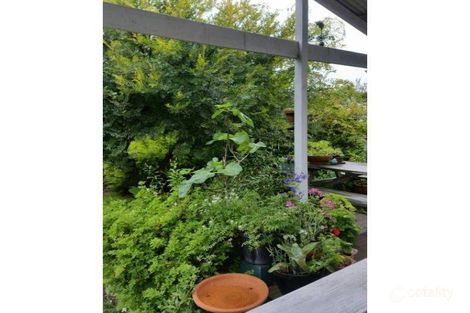 Property photo of 1 Redbill Drive Bicheno TAS 7215