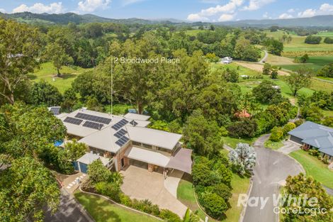 Property photo of 2 Bloodwood Place Nunderi NSW 2484