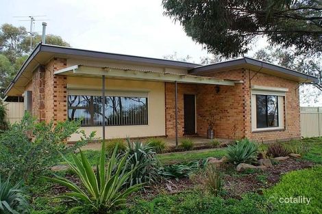 59 Old Princes Hwy, Murray Bridge East, SA 5253
