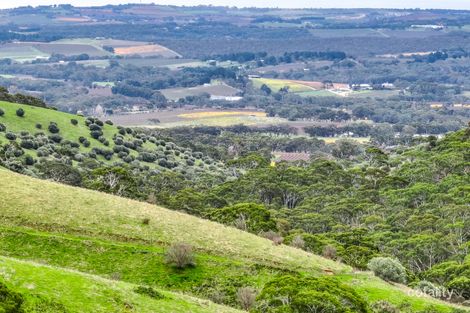 Property photo of 1205 Range Road McLaren Flat SA 5171