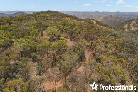 Property photo of 4120 Sofala Road Wattle Flat NSW 2795