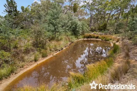 Property photo of 4120 Sofala Road Wattle Flat NSW 2795