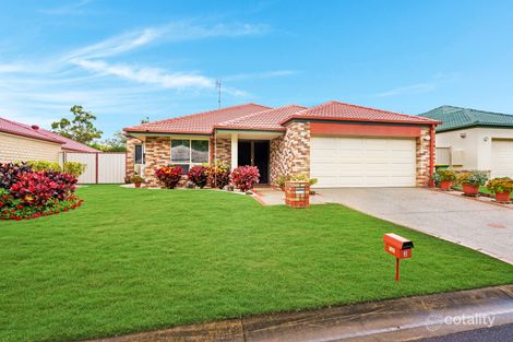 Property photo of 3 Tuckeroo Place Reedy Creek QLD 4227