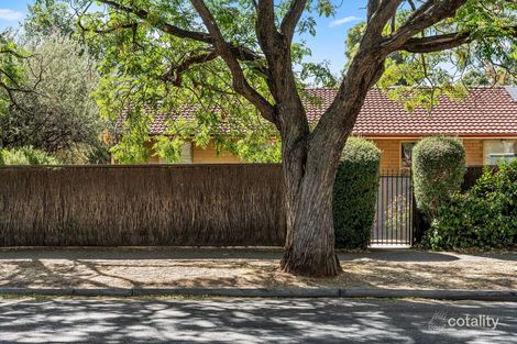 Property photo of 2/25 Bevington Road Glenunga SA 5064