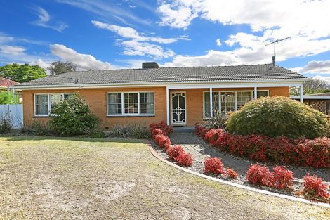 Property photo of 12 Brocka Avenue Belmont VIC 3216