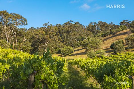 Property photo of 106 Turners Avenue Hawthorndene SA 5051