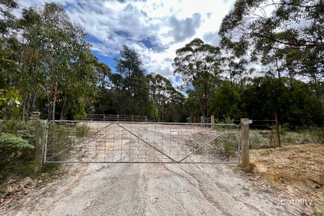 2023 Pipers River Rd, Pipers River, TAS 7252