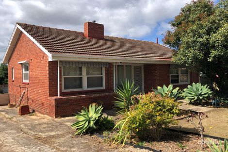 Property photo of 11 Ormsby Street Windsor Gardens SA 5087