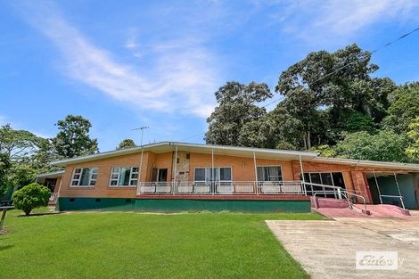 Property photo of 13 Phoenix Street Malanda QLD 4885