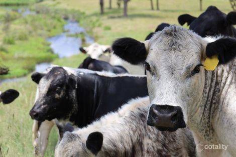 408 Bezzants Rd, Deepwater, NSW 2371