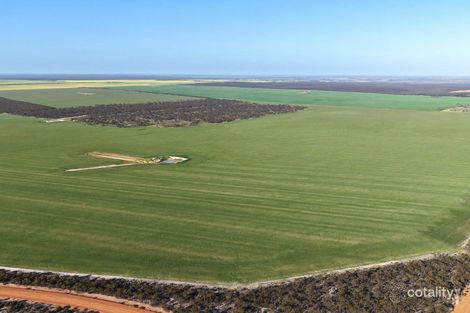 Lake North Rd, West Fitzgerald, WA 6337