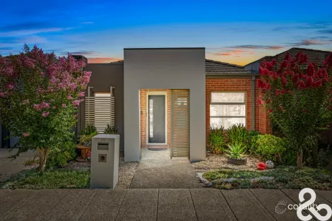 Property photo of 20 Zinnober Gardens Epping VIC 3076