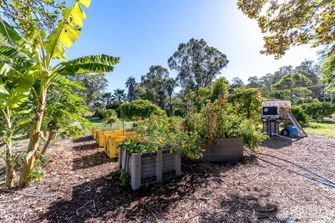 25 Delich Rd, Carabooda, WA 6033