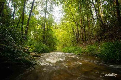 Property photo of 1169 Darkwood Road Darkwood NSW 2454