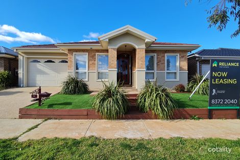 16 Maryburgh Rd, Cobblebank, VIC 3338