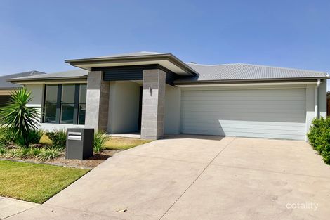 21 Butterleaf Cres, Pimpama, QLD 4209