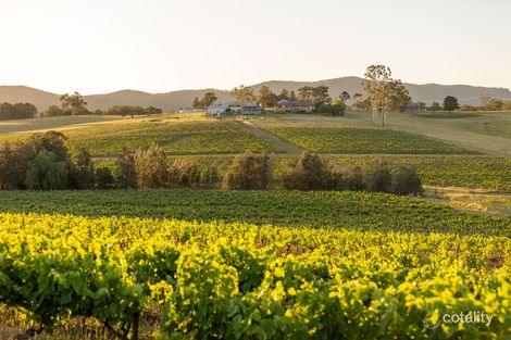 353 Oakey Creek Rd, Pokolbin, NSW 2320