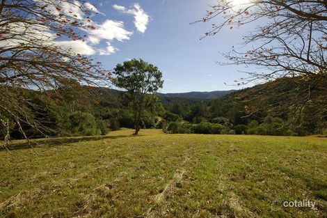 Property photo of 111 Bobin Creek Road Bobin NSW 2429