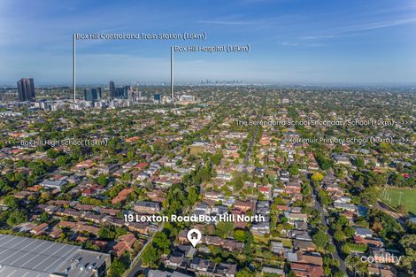 Property photo of 19 Lexton Road Box Hill North VIC 3129