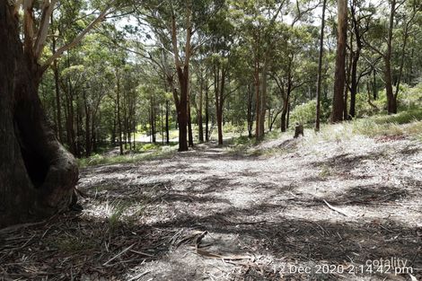 44 Marana Rd, Springfield, NSW 2250