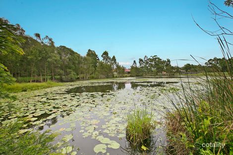 Property photo of 9 Cliff Close Wakerley QLD 4154