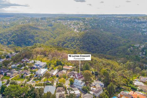 Property photo of 16 Lurnea Crescent Forestville NSW 2087