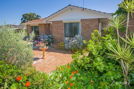 Property photo of 54 Dampier Loop Mirrabooka WA 6061