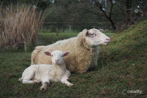 1880 Frankston-Flinders Rd, Hastings, VIC 3915