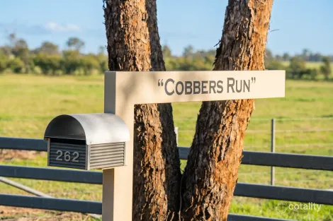 262 HENTY WALLA RD, HENTY, NSW 2658