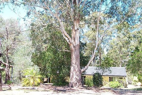 1188 Mount Russell Rd, Delungra, NSW 2403