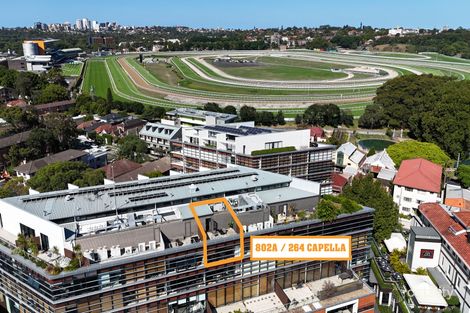 Property photo of 802A/264 Anzac Parade Kensington NSW 2033