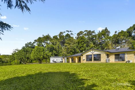 Property photo of 42 Figtree Close Malanda QLD 4885