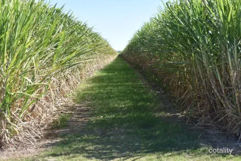 249 Hills Rd, Welcome Creek, QLD 4670