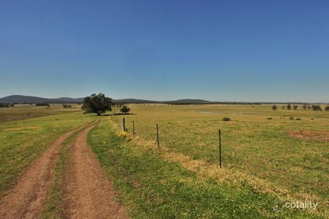 600 Seaham Rd, Nelsons Plains, NSW 2324