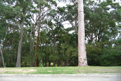 50a Alvona Ave, St Ives, NSW 2075