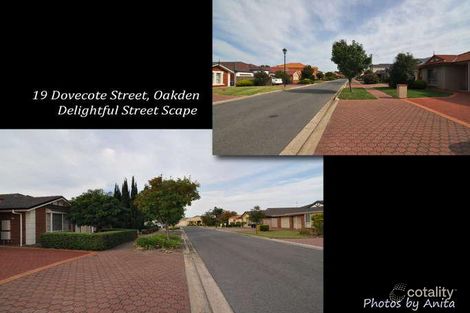 Property photo of 19 Dovecote Street Oakden SA 5086