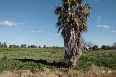 47 Pilloni Rd, Yoogali, NSW 2680