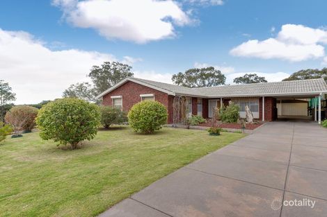 43 Burton Rd, Athelstone, SA 5076