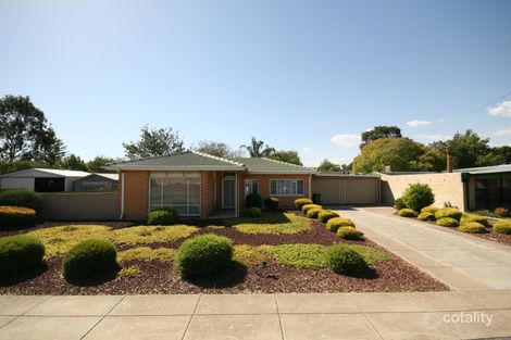 562 Sir Donald Bradman Dr, Lockleys, SA 5032
