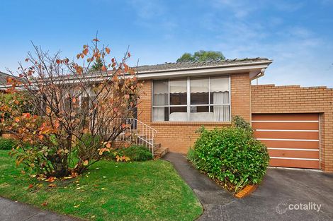 3/3 Elphin Gr, Canterbury, VIC 3126
