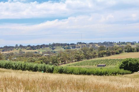 Property photo of 1144 Kingsvale Road Young NSW 2594