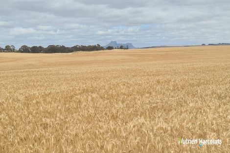 Monjebup Rd, Monjebup, WA 6338