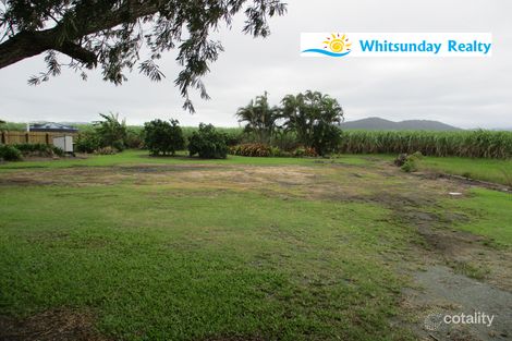 Property photo of 12560 Bruce Highway Hamilton Plains QLD 4800