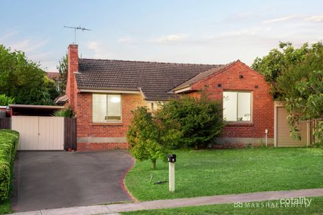 Property photo of 7 Meaden Street Ashburton VIC 3147