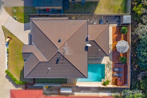 Property photo of 29 Figtree Place Wakerley QLD 4154